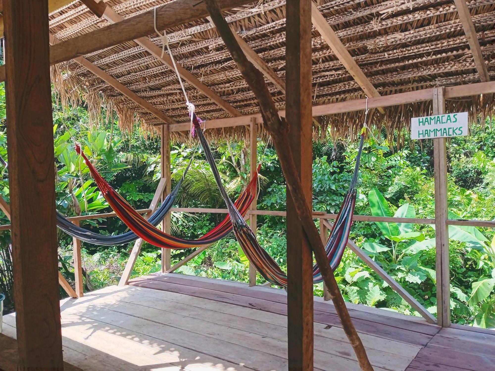 Cabanas Eco Logicas Mu'Ue Loreto Mocagua Eksteriør billede