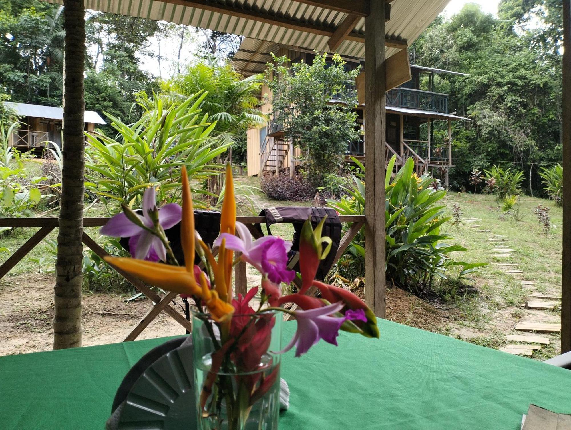 Cabanas Eco Logicas Mu'Ue Loreto Mocagua Eksteriør billede