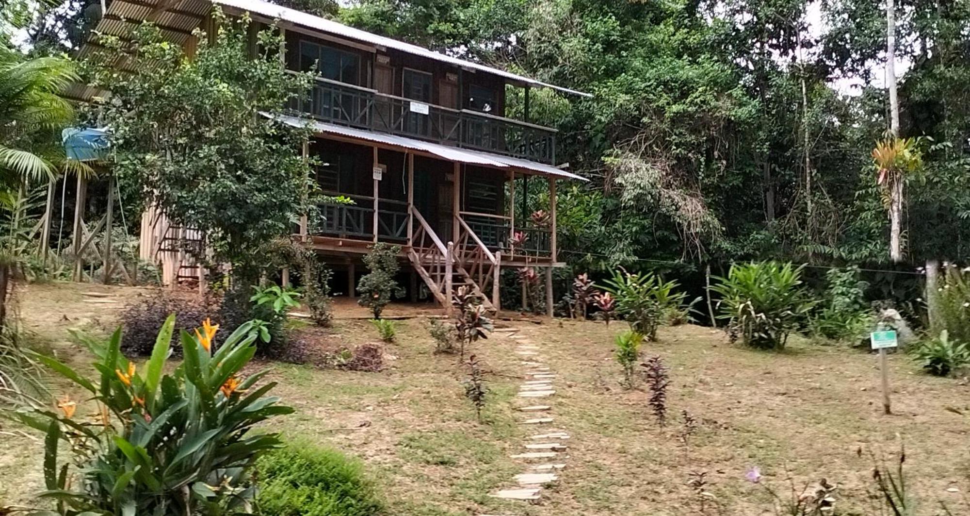 Cabanas Eco Logicas Mu'Ue Loreto Mocagua Eksteriør billede