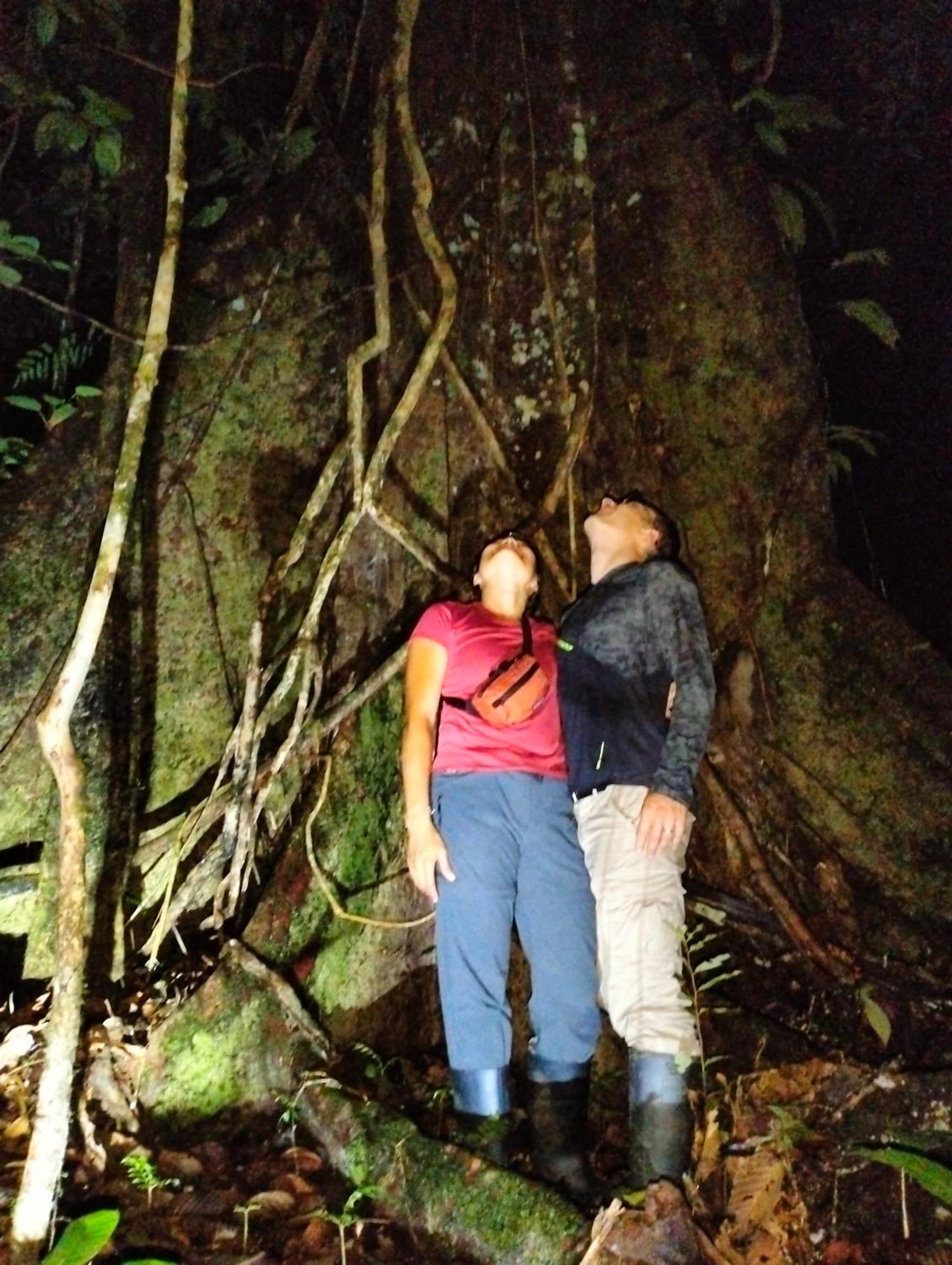 Cabanas Eco Logicas Mu'Ue Loreto Mocagua Eksteriør billede